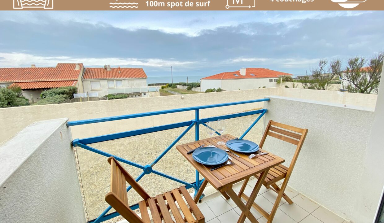 APPARTEMENT RENOVE VUE MER