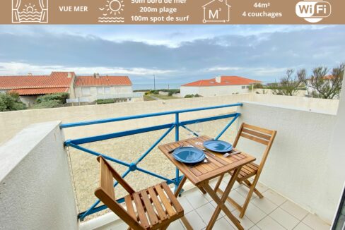 APPARTEMENT RENOVE VUE MER