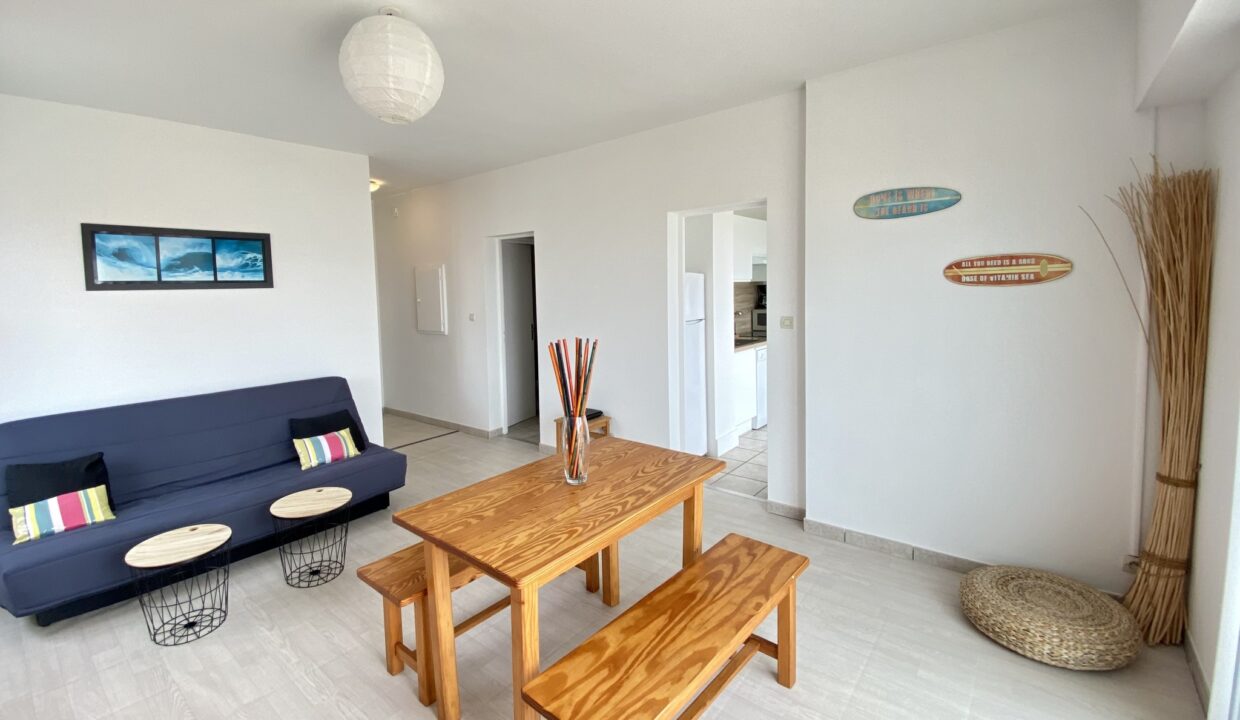 APPARTEMENT-RENOVE-VUE-MER-200m-PLAGE-DE-LA-SAUZAIE-Acces-WIFI-5