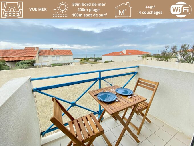 APPARTEMENT RENOVE VUE MER