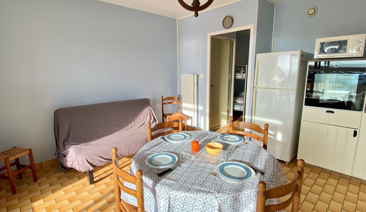 LA-SAUZAIE-APPARTEMENT-RDC-VUE-SUR-MER-Animaux-bienvenus-4